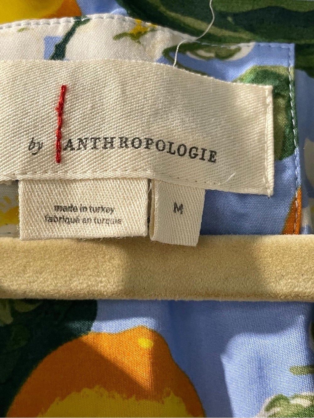 Anthropologie Blue Lemon-Print V-Neck Maxi Dress - Picture 5 of 5